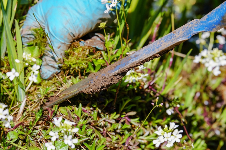 lawn target weed safe solution